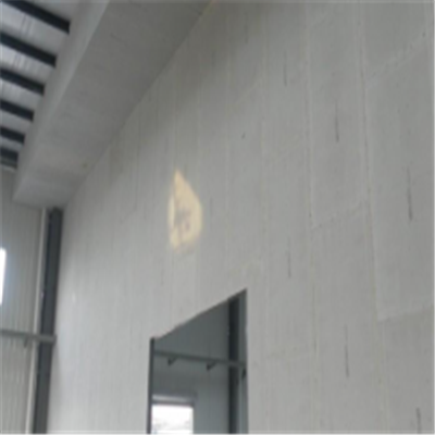 南关宁波ALC板|EPS加气板隔墙与混凝土整浇联接的实验研讨